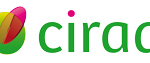 CirVert_L190px