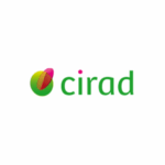 Logo CIRAD